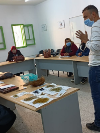 Formation en teinture naturelle de la Halfa (11)