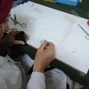 Visite du Centre Technique du Textile - Cettex et atelier d'initiation aux essais chimiques (4)