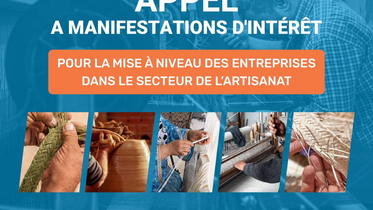 APPEL 1_1 Mise à Niveau des Entreprises dans le Secteur de l’