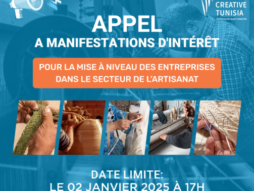 APPEL 1_1 Mise à Niveau des Entreprises dans le Secteur de l’