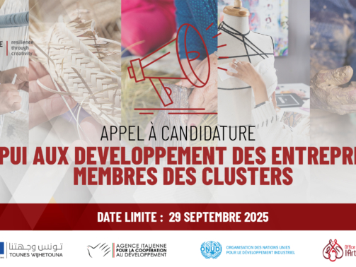 Appel à candidatures_CT1