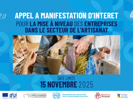 APPEL Mise à Niveau des Entreprises dans le Secteur de l’Arti